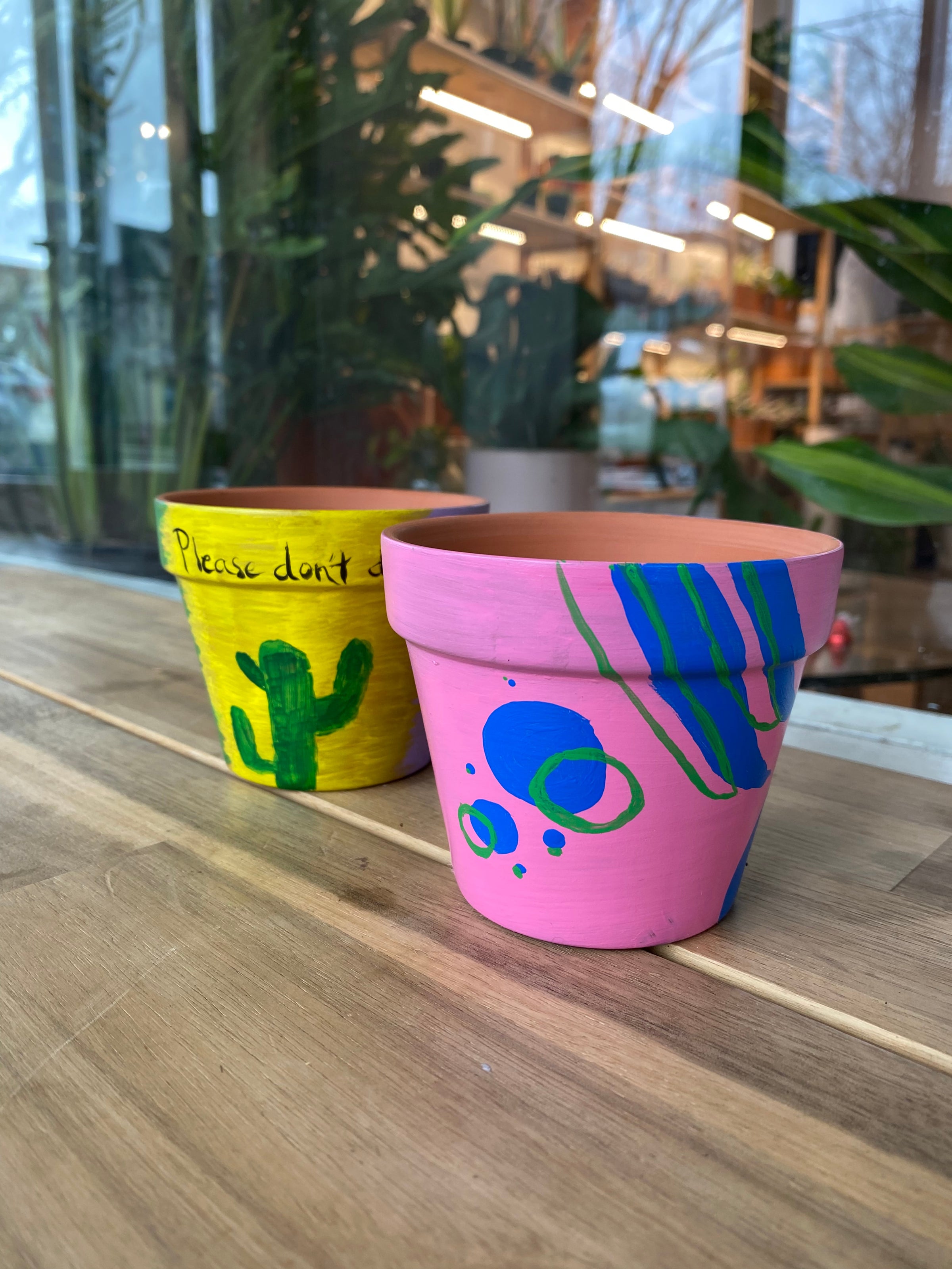 Paint, Pot & Sip Workshop | deVINE Plantery